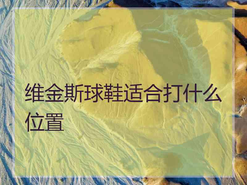 维金斯球鞋适合打什么位置