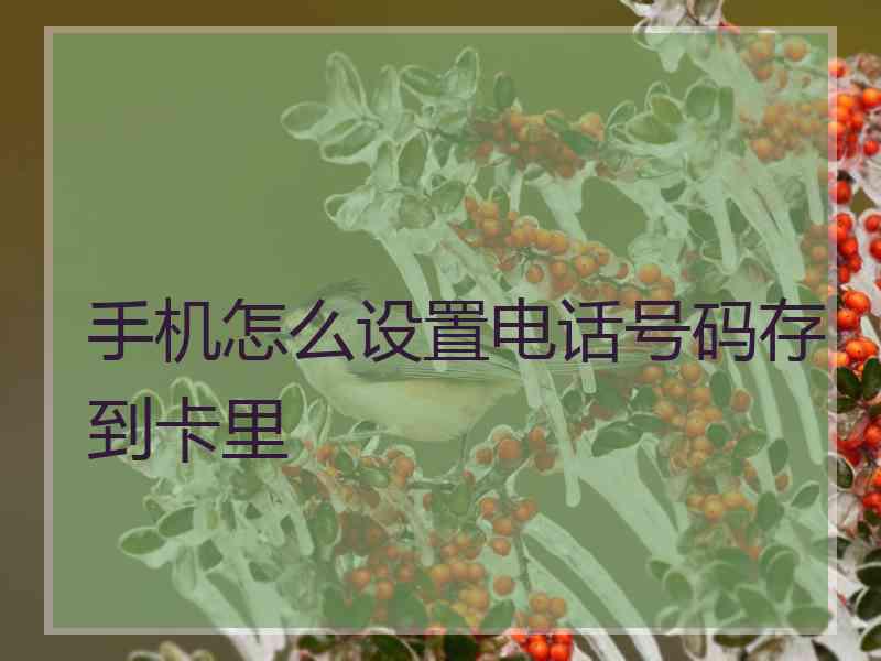 手机怎么设置电话号码存到卡里