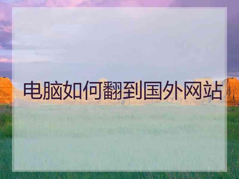 电脑如何翻到国外网站