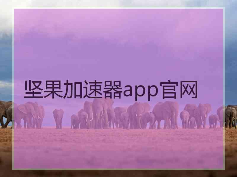 坚果加速器app官网