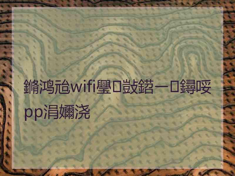 鏅鸿兘wifi璺敱鍣ㄧ鐞哸pp涓嬭浇