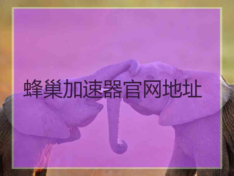 蜂巢加速器官网地址