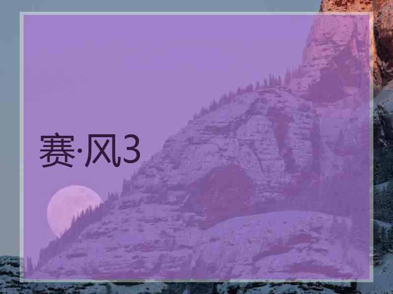 赛·风3