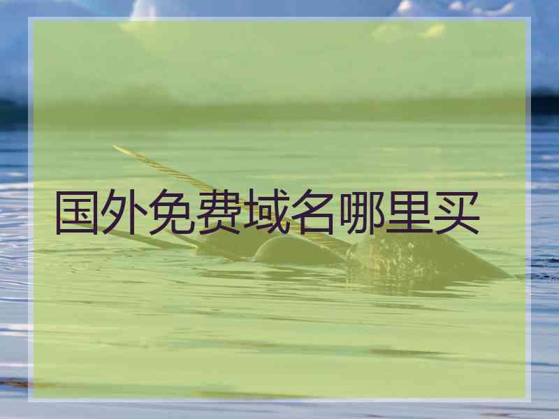 国外免费域名哪里买