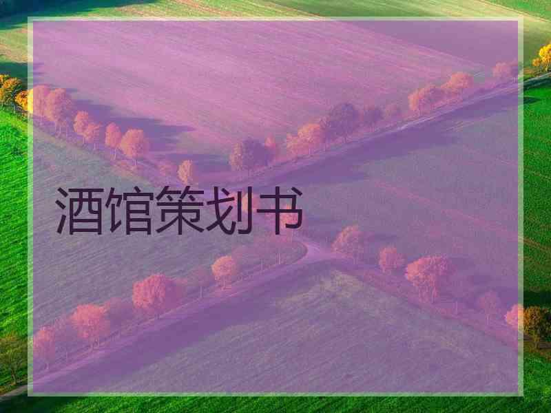 酒馆策划书