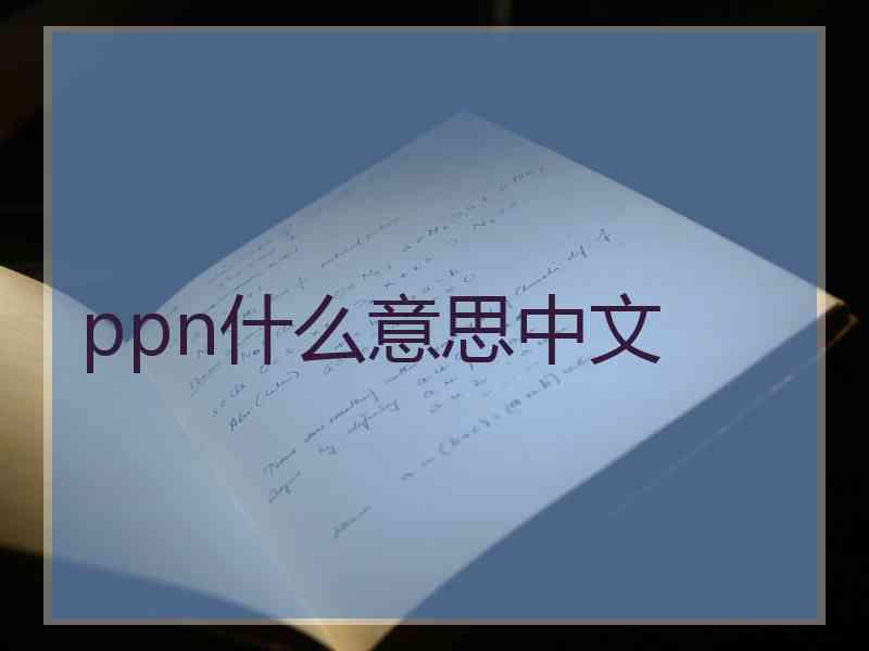 ppn什么意思中文