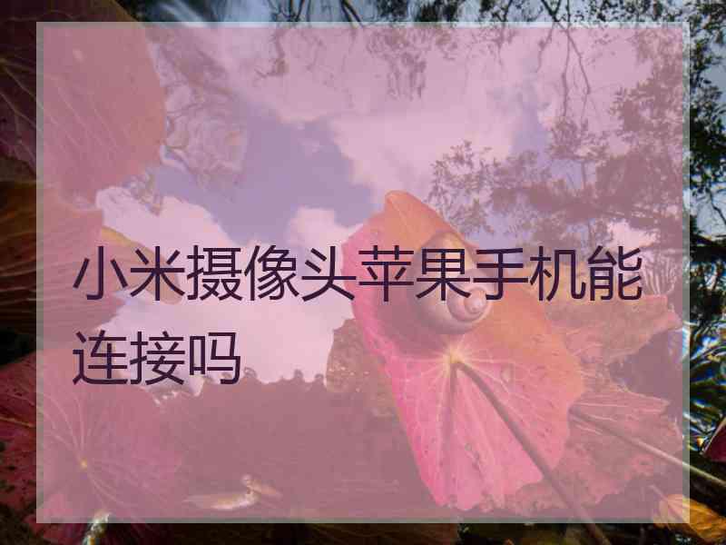小米摄像头苹果手机能连接吗