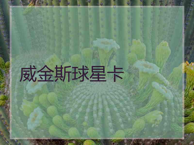 威金斯球星卡