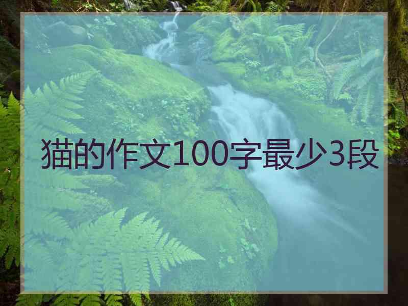 猫的作文100字最少3段