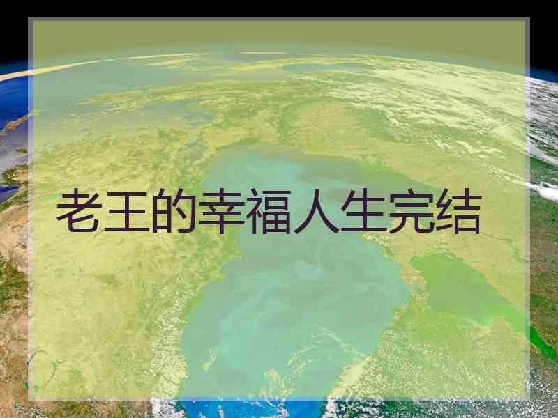 老王的幸福人生完结