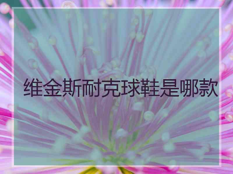 维金斯耐克球鞋是哪款