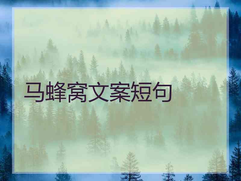 马蜂窝文案短句