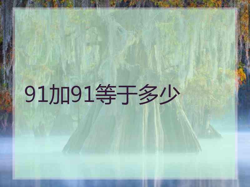 91加91等于多少