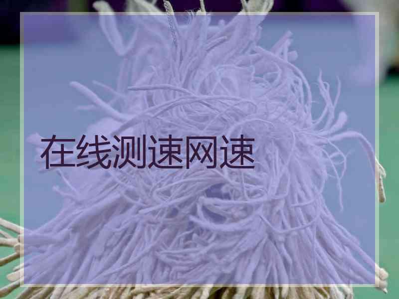 在线测速网速