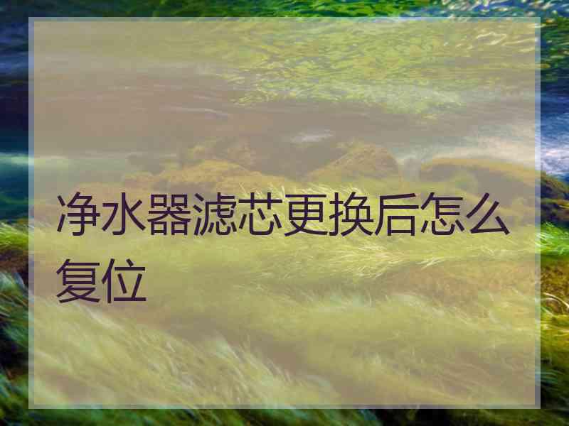 净水器滤芯更换后怎么复位
