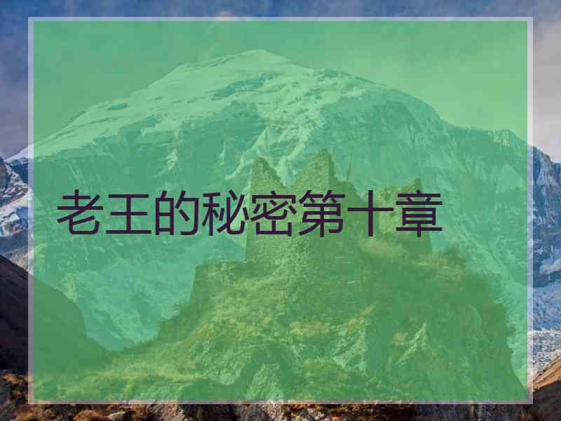 老王的秘密第十章