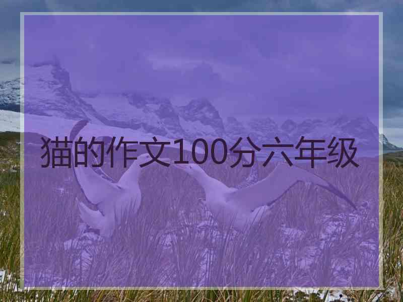 猫的作文100分六年级