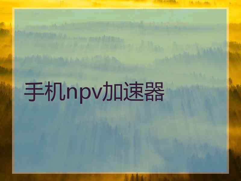 手机npv加速器