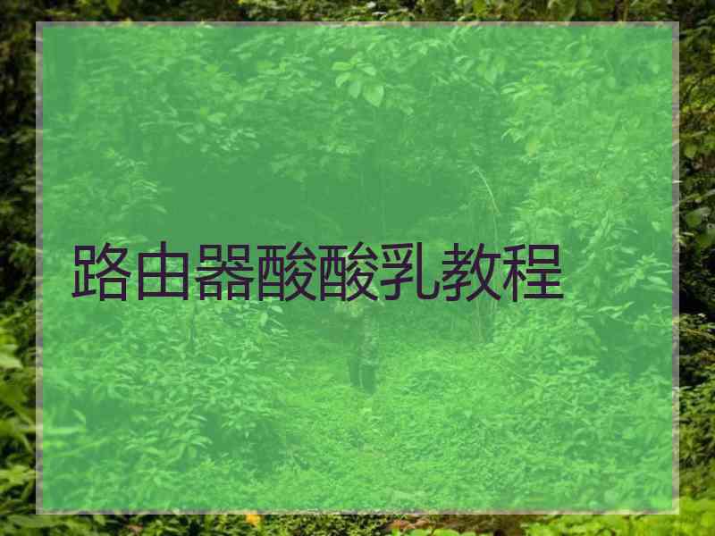 路由器酸酸乳教程