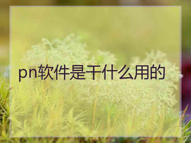 pn软件是干什么用的