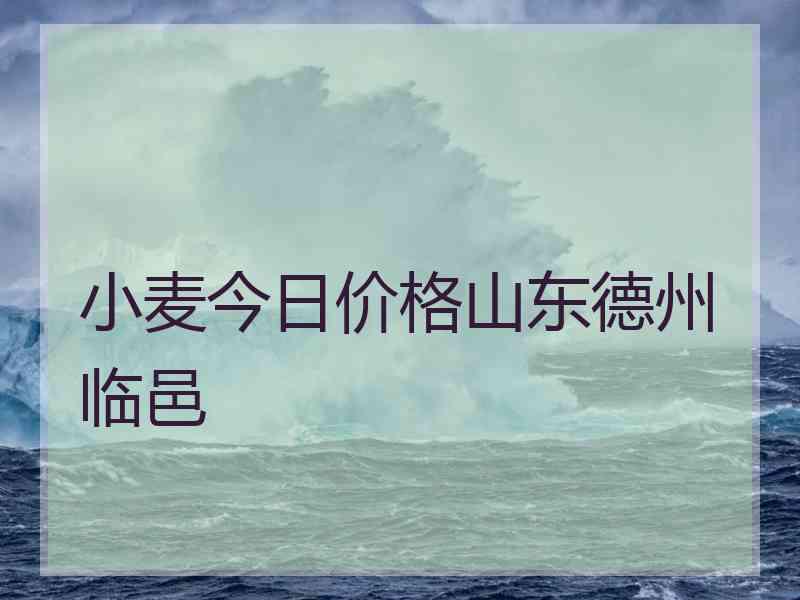 小麦今日价格山东德州临邑