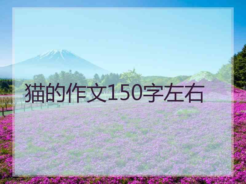 猫的作文150字左右