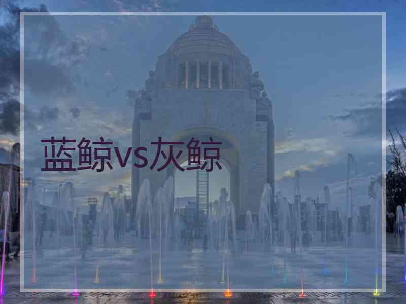 蓝鲸vs灰鲸