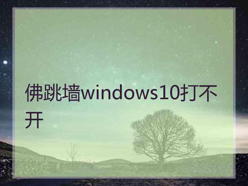 佛跳墙windows10打不开