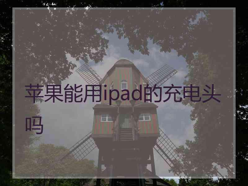 苹果能用ipad的充电头吗