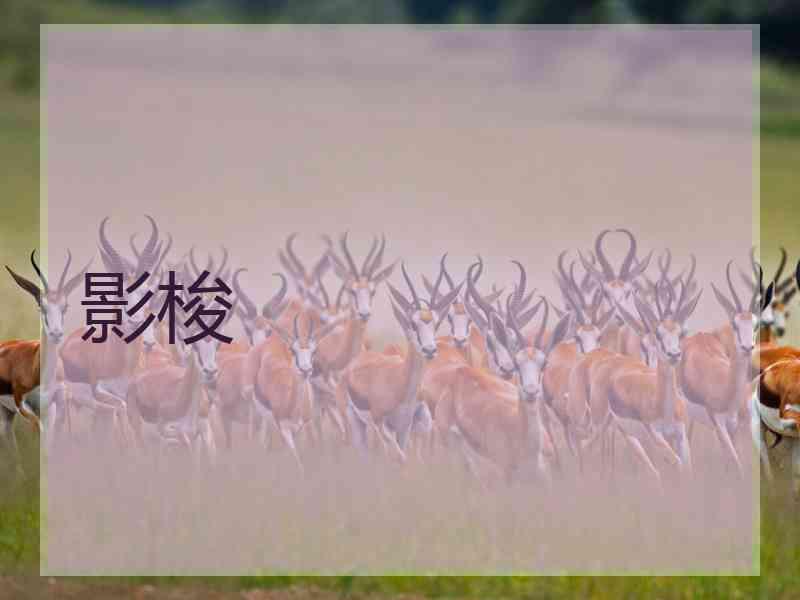 影梭