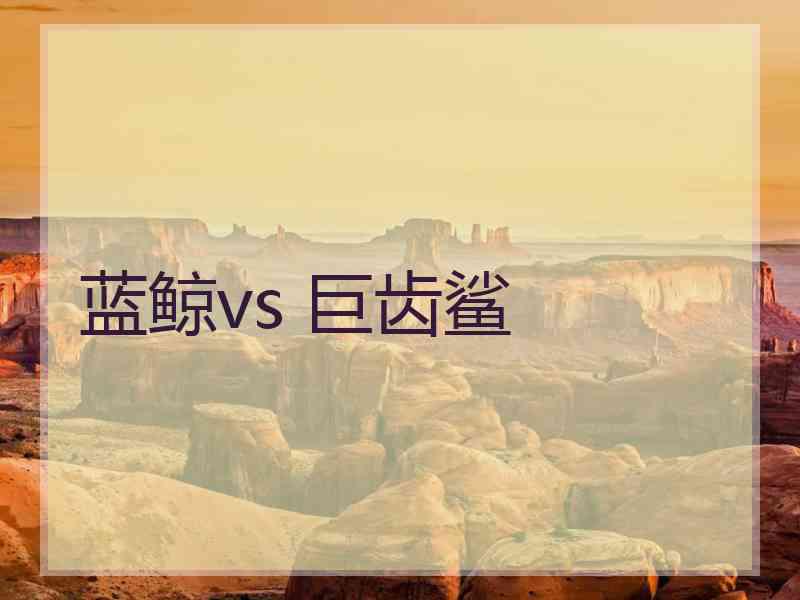 蓝鲸vs 巨齿鲨