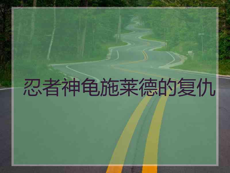 忍者神龟施莱德的复仇