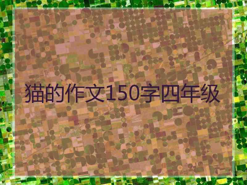 猫的作文150字四年级