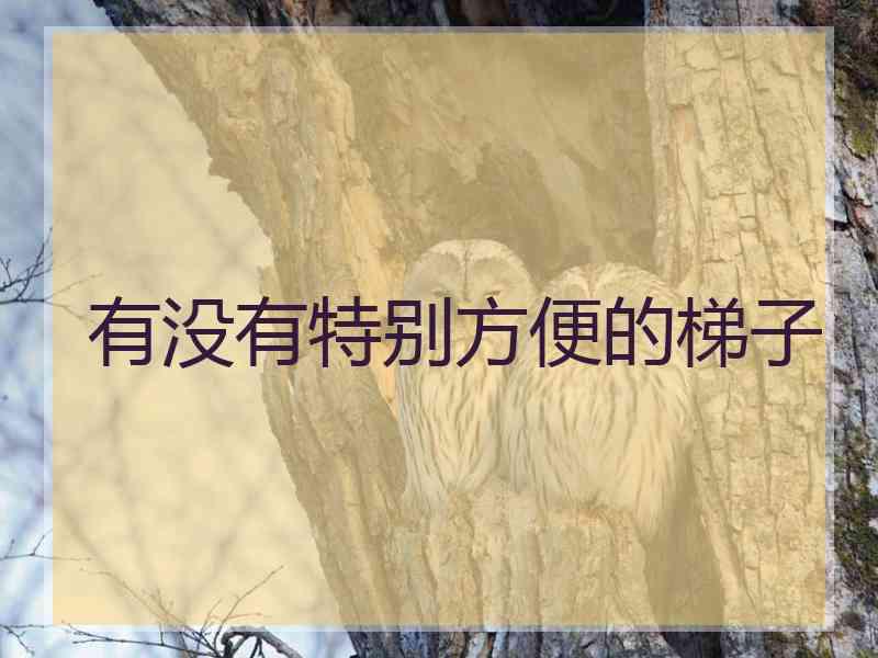 有没有特别方便的梯子