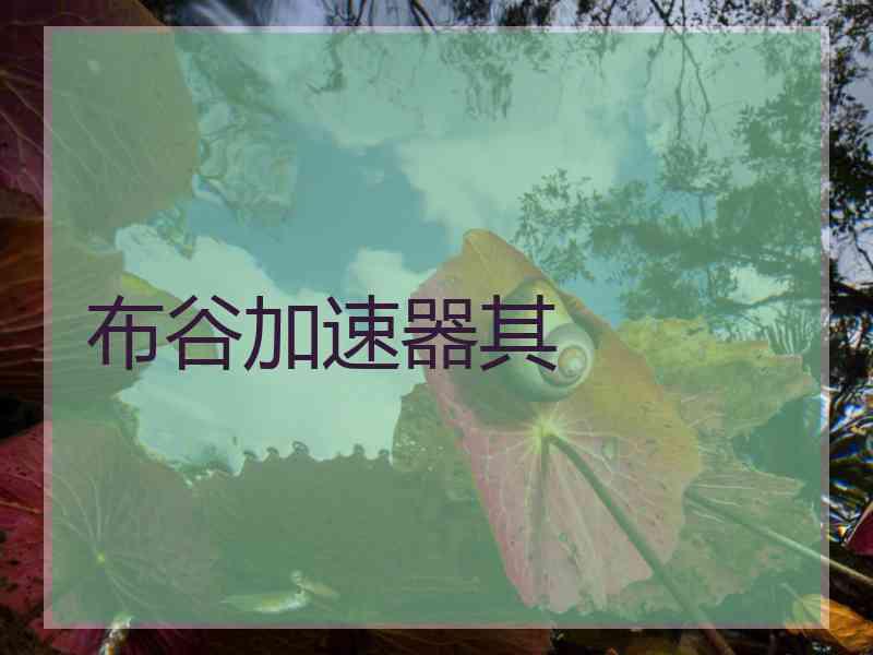 布谷加速器其