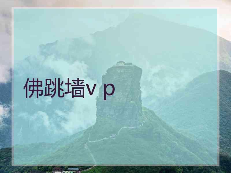 佛跳墙v p