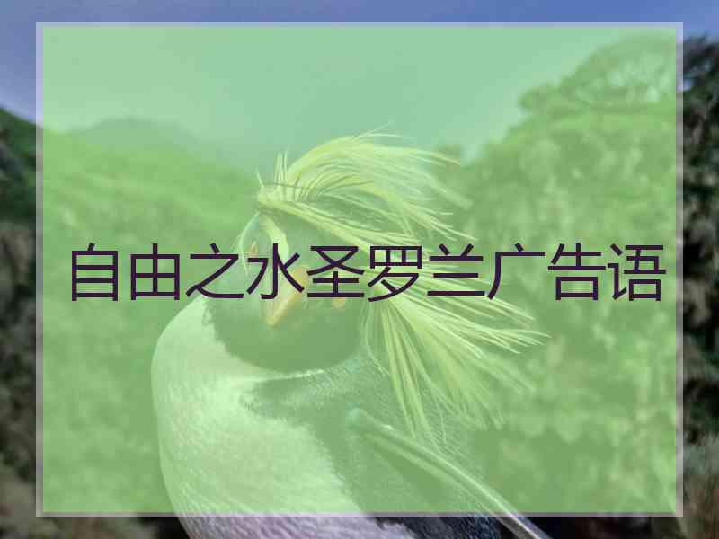 自由之水圣罗兰广告语