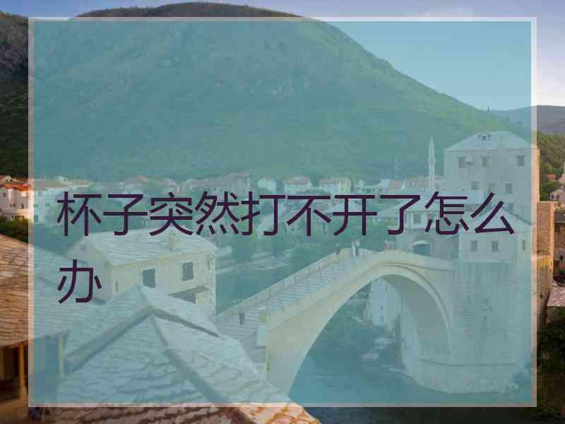 杯子突然打不开了怎么办