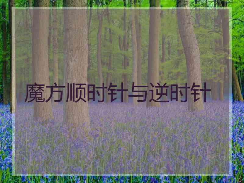 魔方顺时针与逆时针