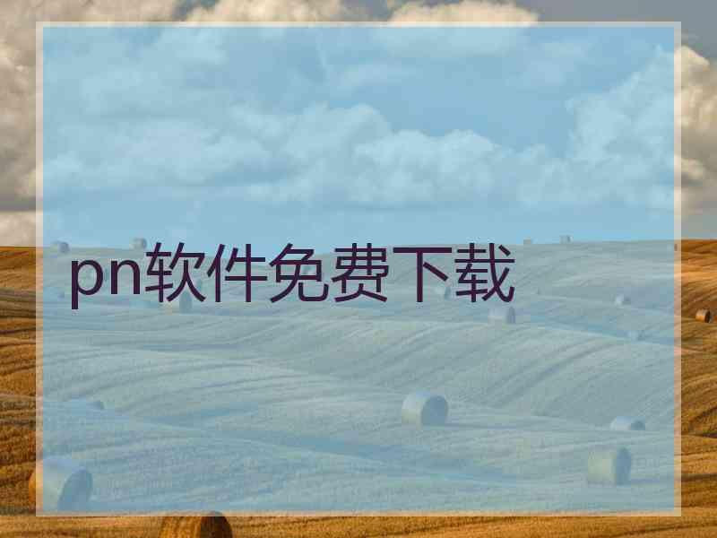 pn软件免费下载