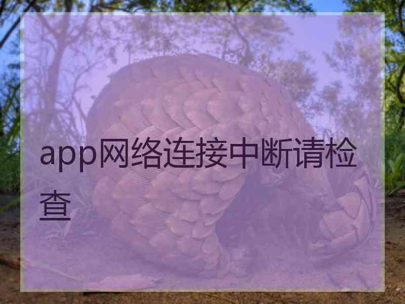 app网络连接中断请检查
