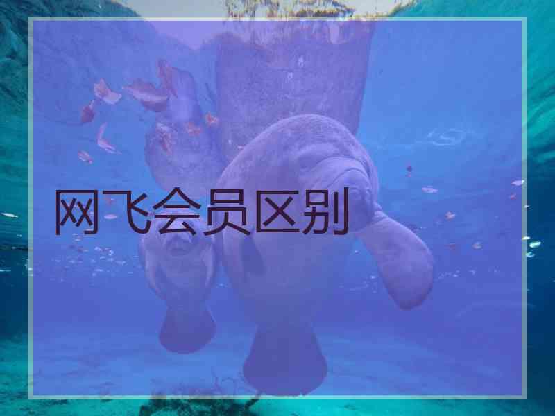 网飞会员区别