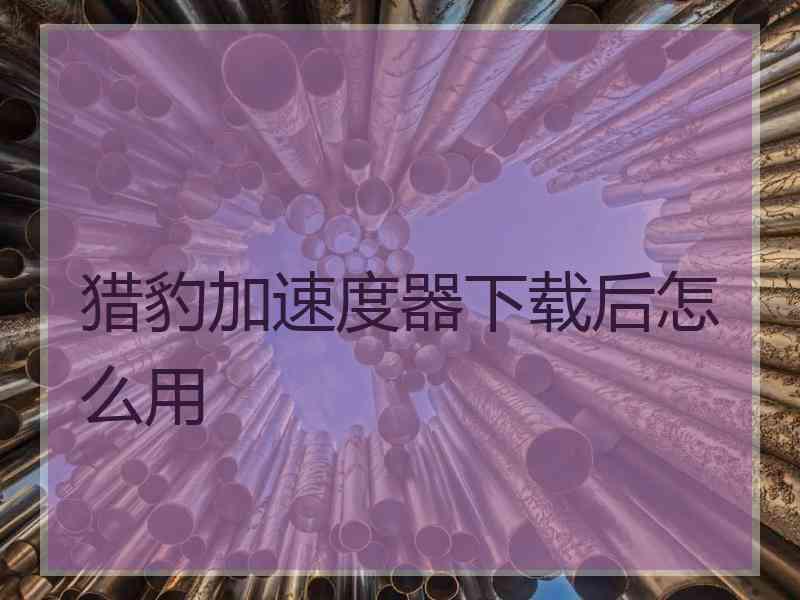 猎豹加速度器下载后怎么用