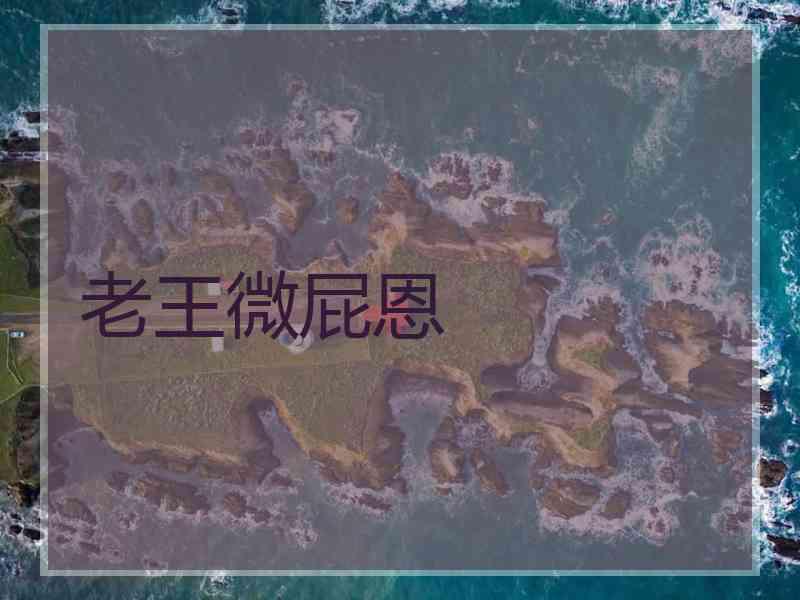 老王微屁恩