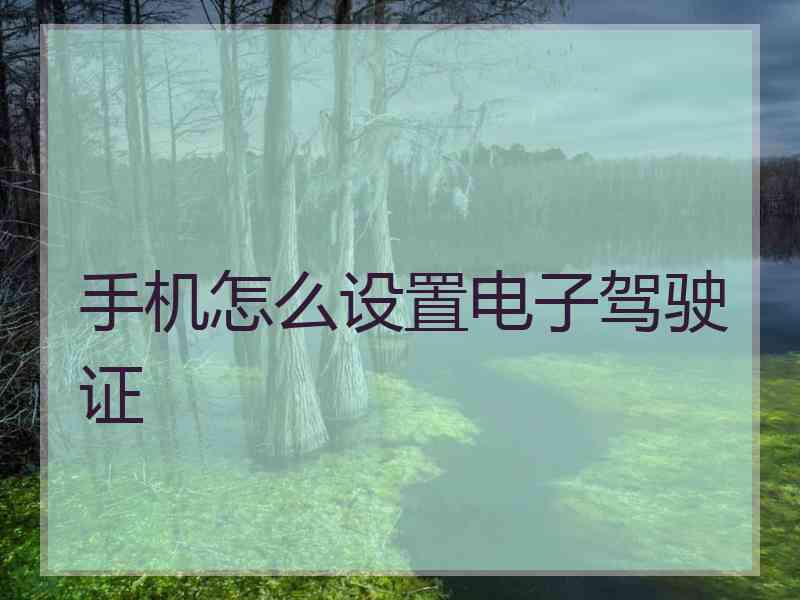 手机怎么设置电子驾驶证