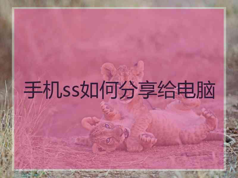 手机ss如何分享给电脑