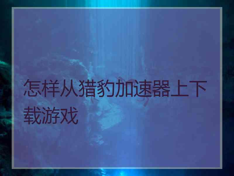 怎样从猎豹加速器上下载游戏