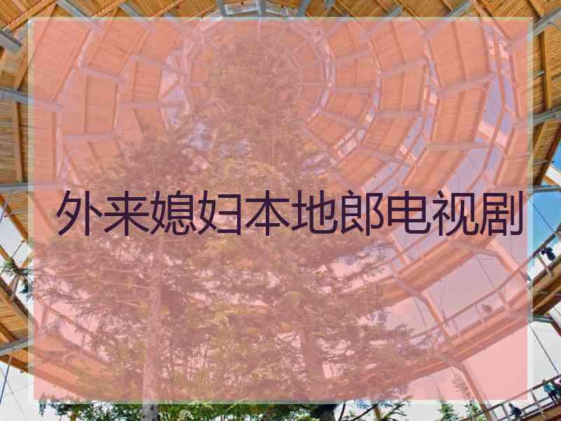 外来媳妇本地郎电视剧