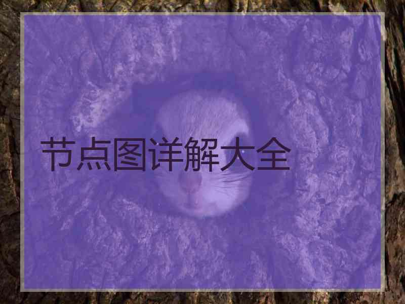 节点图详解大全