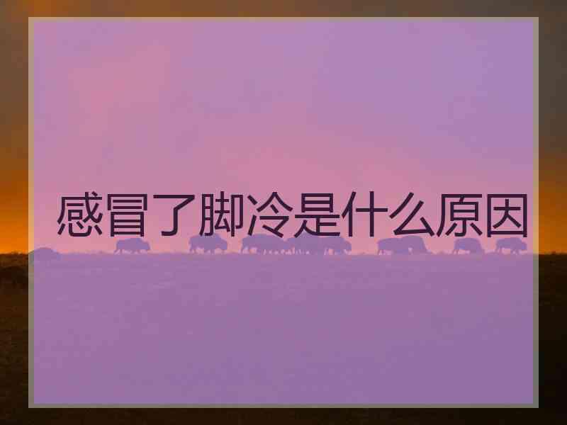 感冒了脚冷是什么原因